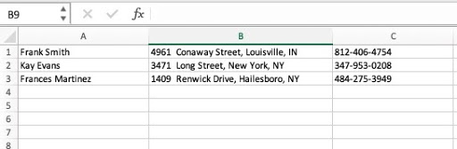 MS Word Excel Client Data